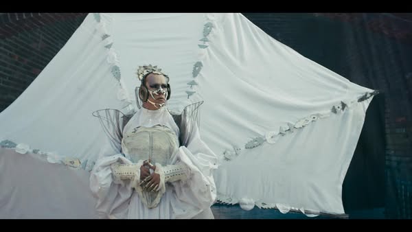 When winds in Monsoon play, the White Peacock will sweep away