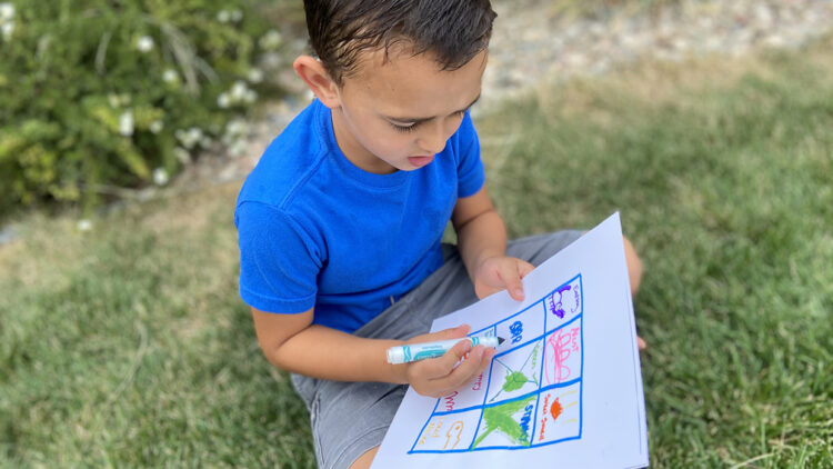 Il laboratorio Montessori &ndash; Bingo-natura!